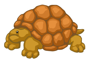 Tortoise Giant Cartoon