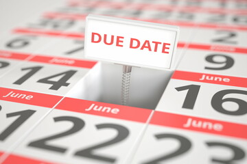 DUE DATE sign on June 15 in a calendar, conceptual 3d rendering