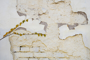 texture of the old yellow brick wall