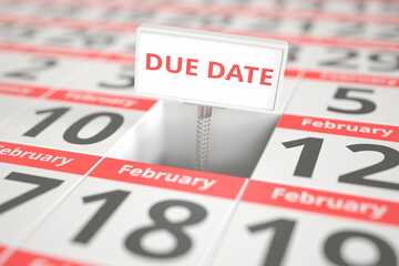 DUE DATE sign on February 11 in a calendar, 3d rendering