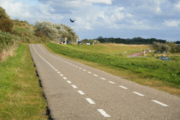 Bicycle lane in the Netherlands. Gray pavement with white markings. Road leads along the beach dune. Black bird flying in front of gray clouds. South Holland near Brouwersdam. - obrazy, fototapety, plakaty