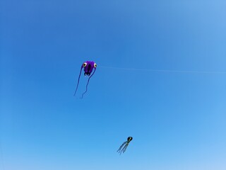 Two kites in the form of monsters fly in the blue sky.
