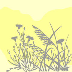 illustration of field herbs in pastel colors