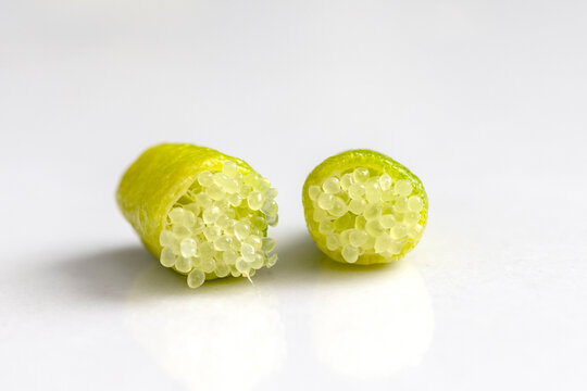 Close-up Of Citrus Australasica, The Australian Finger Lime Or Caviar Lime