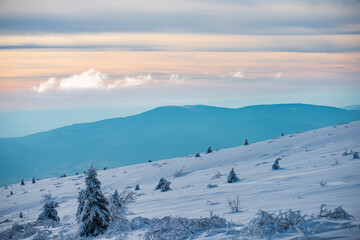 Winter Christmas landscape with snow. New Year wallpaper. Winter Christmas landscape with snow. New Year wallpaper.