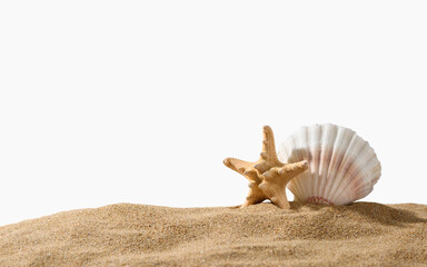 Large white seashell and starfish on the sand on a white background. Isolated object.