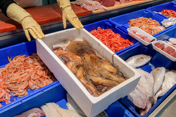 Pescados y mariscos frescos en pescadería.