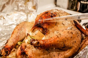 Thanksgiving Turkey dinner getting basted  