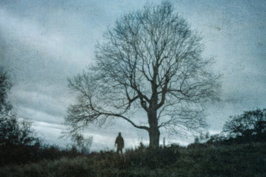 A blurred abstract edit. Of a man standing under a tree. Silhouetted against the sky on a moody winters evening.