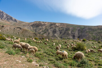 Demir Pile Mountain, one of Turkey's most important mountains