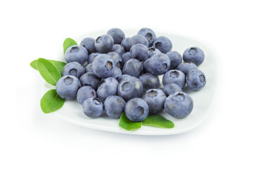 Blueberries in a plate on white background