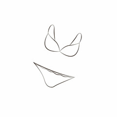 Lace underwear. Sexy lingerie. Vector.