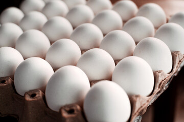 eggs rows pattern box food background