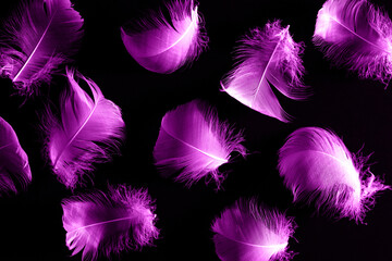 Obraz premium Dark background with violet feathers. Abstract backdrop of swan feathers. Minimal concept