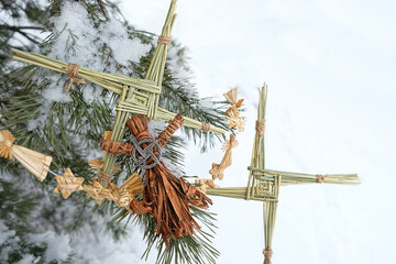 Brigid's cross - symbol of Imbolc sabbat. ireland handmade amulet made from straw and magic witchcraft doll on snowy pine tree. Wiccan tradition for blessed and protected house.  copy space - obrazy, fototapety, plakaty