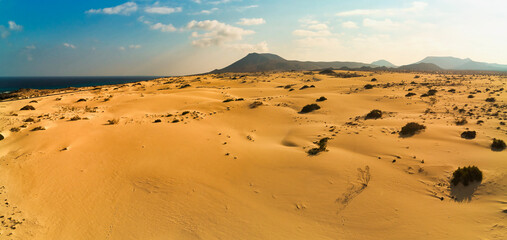 Fototapeta na wymiar wind blown sand dunes in the natural park corralejo fuerteventura