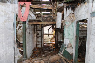 abandoned house in the woods