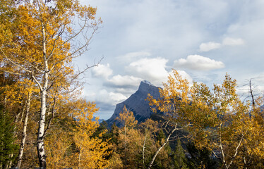 Fototapeta premium View of Mt Rundle from Mount Norquay in Alberta, Canada