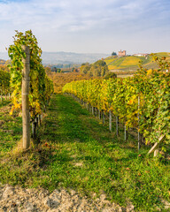 Beautiful hills and vineyards during fall season surrounding Grinzane Cavour Castle. In the Langhe...