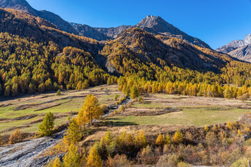 Beautiful autumnal landscape in the Varaita Valley, near the village of Chianale, Piedmont, northern Italy.