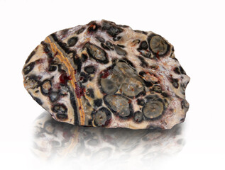 Rhyolith, Mexiko, Leopardenfell Ryolith, Rohstein