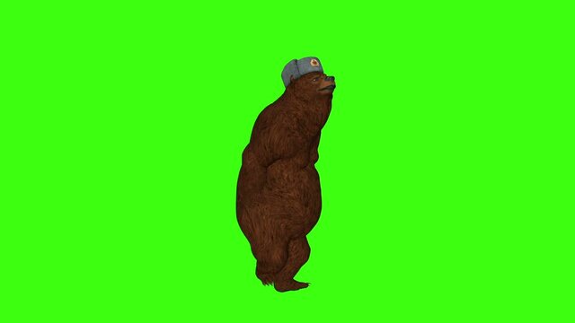 Russian bear dancing ,animation,green background