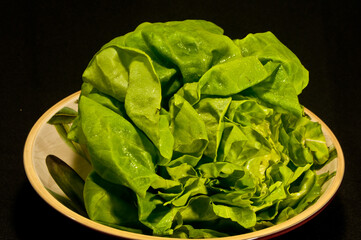 front, top view, close distance ,of an orange, ceramic bowl with a head of freshly picked and washed, Boston lettuce, with black background