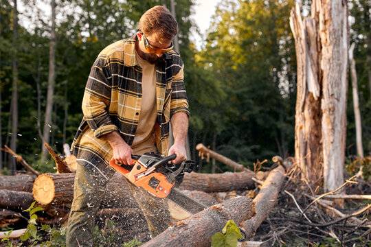 Lumberjack logger worker in protective gear cutting firewood timber tree in forest with chainsaw. Brutal caucasian male in plaid shirt engaged in hard work in forest at summer evening. Nice wood man