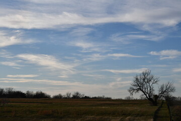 Fototapeta na wymiar Cloudy Blue Sky Over a Field