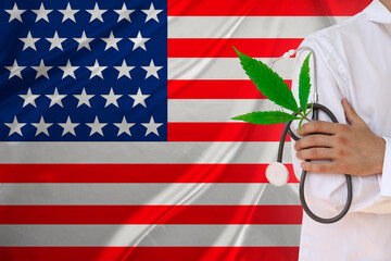 usa national flag,