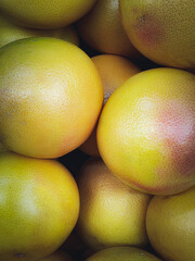 Fototapeta premium A lot of yellow grapefruits in the bpx