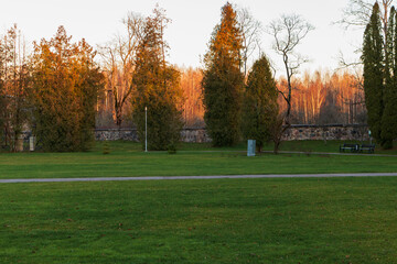 View of the park with green grass. Outside autumn evening