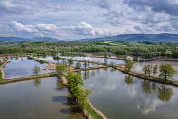 Aerial view of fishponds in Miedzyrzecze Gorne village in Silesia, Poland