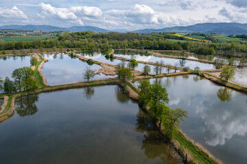 Fototapeta na wymiar Drone aerial photo of fishponds in Miedzyrzecze Gorne village in Silesia, Poland