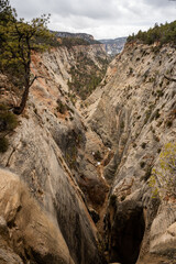 View of Jolley Gulch from Overlook