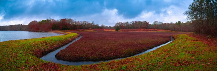 Curving cranberry bog and dramatic cloudscape on Cape Cod in the winter rain. Vibrant green riverbank, red cranberry plants, and autumn forest, blue lake and brooks in Mashpee, Massachusetts, USA.