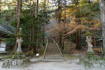 EOSRP.広島佛通寺、来年上る石段。