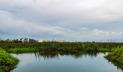 Fototapeta na wymiar Pallikarani marsh in the midst of the North east Monsoon clouds