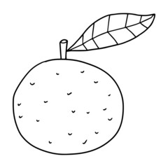 Cartoon hand drawn doodle orange with leaf. 