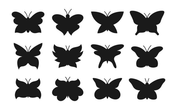 Butterfly black silhouette set. Elegant exotic butterflies and moths isolated illustration. Abstract stylized tropical insect, contour wings. Wildlife childrens hand drawn symbol design element vector