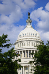 United States Capitol building  - Washington DC, United States