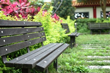 Empty wooden benches in a lush peaceful garden 