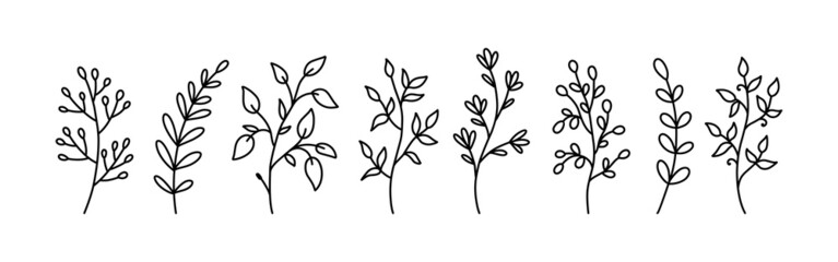 Botanical floral doodles isolated on white background. Set of abstract twigs with leaves of different shapes. Hand-drawn vector illustration. Perfect for cards, invitations, decorations.