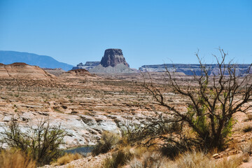 Rock Formation in the Desert in Page Arizona