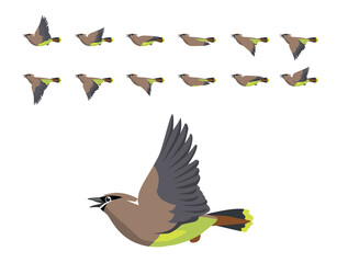 Animation Cedar Waxwing Flying Cute Cartoon Vector Illustration