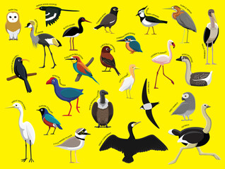 African Birds with Name Cartoon Character Set 1