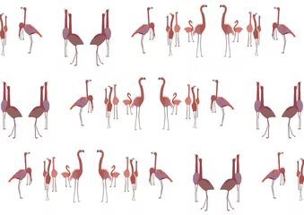 Foto auf Acrylglas Flamingo フラミンゴ