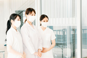 Fototapeta premium 女性医師と看護師 