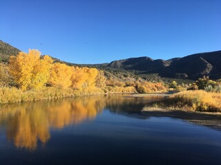 Fototapeta na wymiar Fall foliage, Rio Grande, New Mexico