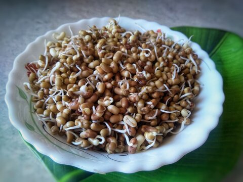 Heap of fresh Sprouted moth beans or math beans in white background